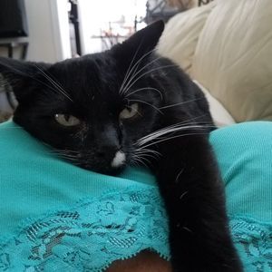 Meet your Posher, Peggy